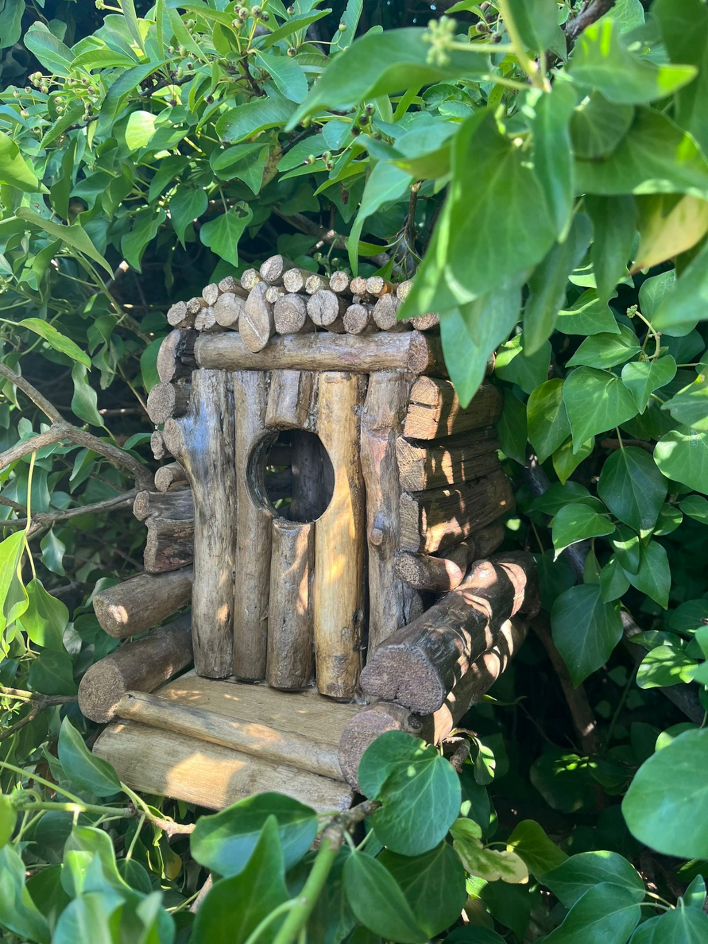 Mangeoire oiseaux 🦜