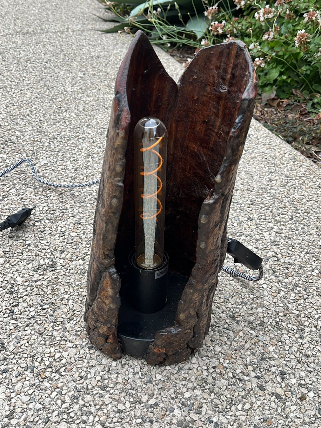 Lampe écorce néon LED