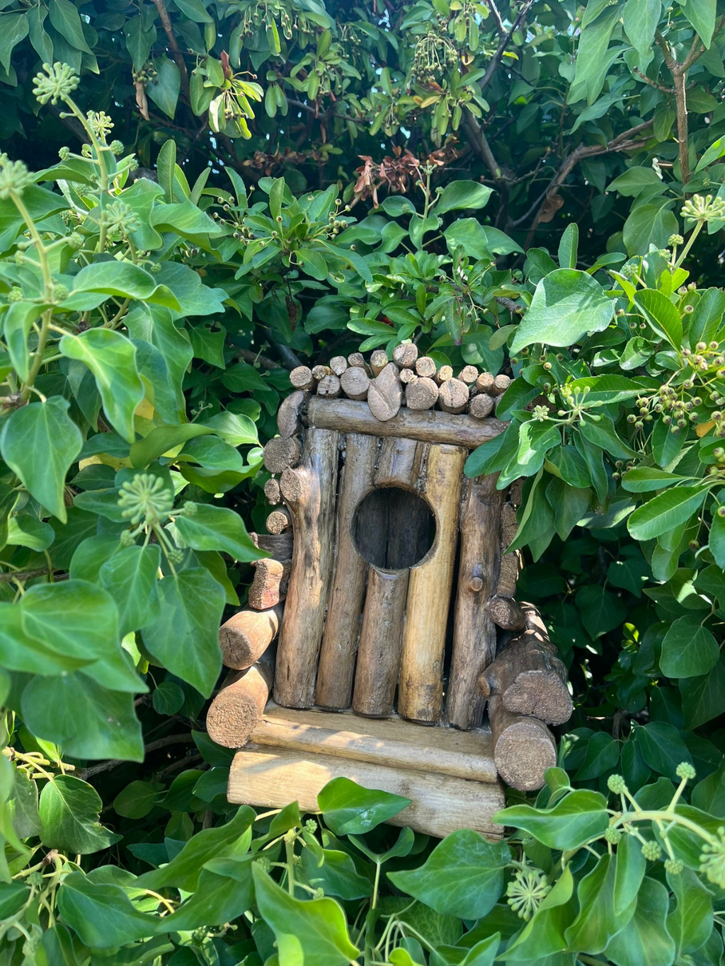 Mangeoire oiseaux 🦜