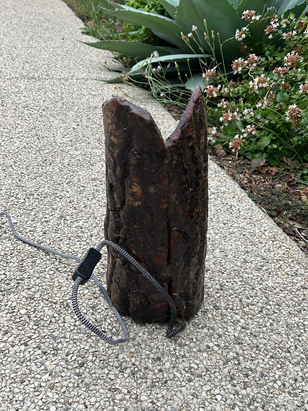 Lampe écorce néon LED