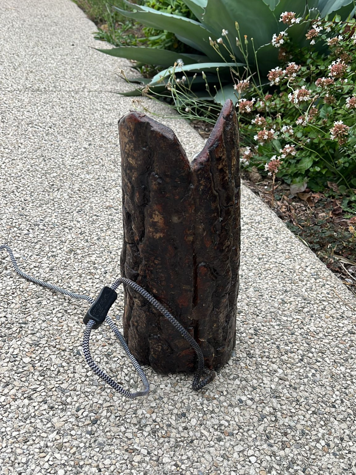 Lampe écorce néon LED