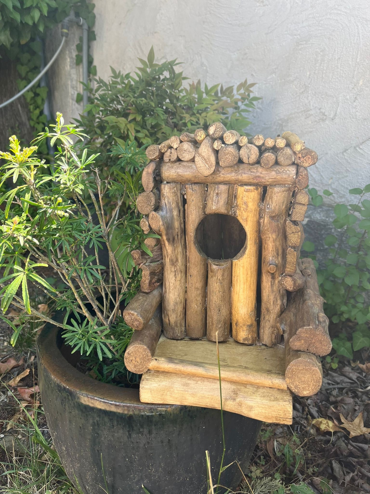 Mangeoire oiseaux 🦜